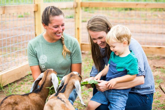 442 Apple Core Way, Richmond, TX 77406