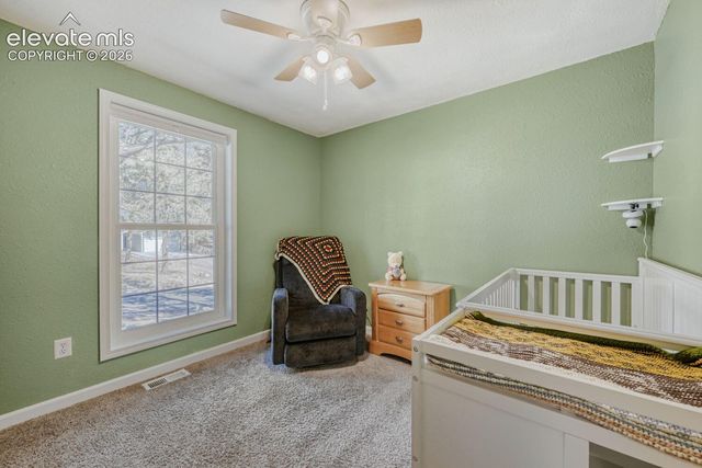 1005 W Browning Avenue, Woodland Park, CO 80863