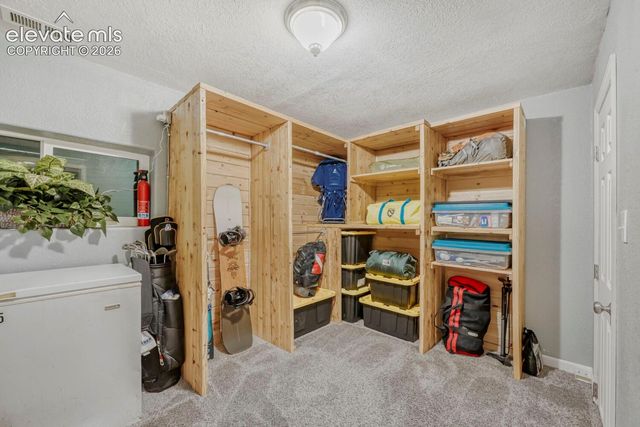 1005 W Browning Avenue, Woodland Park, CO 80863