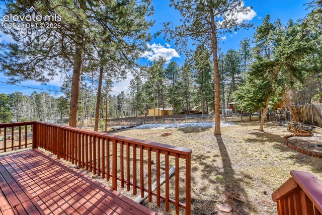 1005 W Browning Avenue, Woodland Park, CO 80863