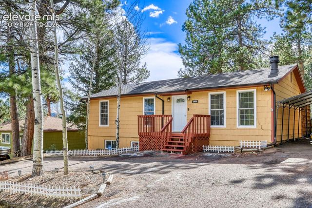 1005 W Browning Avenue, Woodland Park, CO 80863