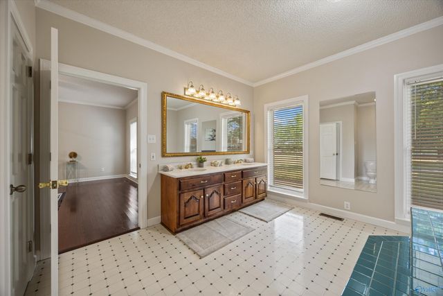 13111 Brian Hill Road, Madison, AL 35756