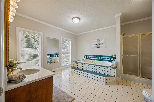 13111 Brian Hill Road, Madison, AL 35756