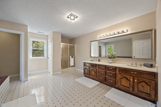 13111 Brian Hill Road, Madison, AL 35756