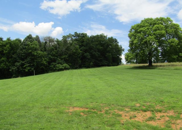 1296 Coosie Branch Rd, Cornersville, TN 37047