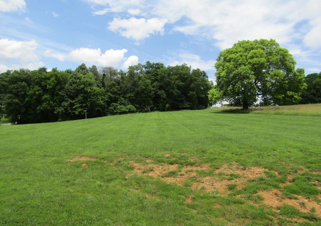 1296 Coosie Branch Rd, Cornersville, TN 37047