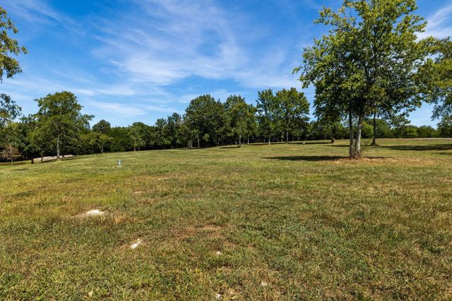 8362 Patterson Rd, College Grove, TN 37046