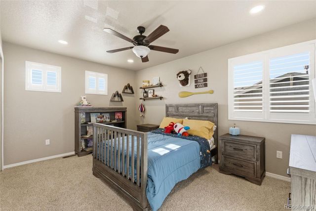 8554 Crooked Branch Lane, Colorado Springs, CO 80927