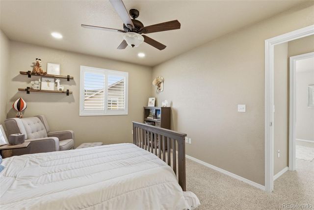 8554 Crooked Branch Lane, Colorado Springs, CO 80927