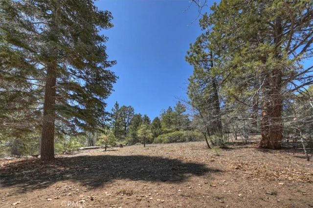 22 Polique Canyon, Fawnskin, CA 92333