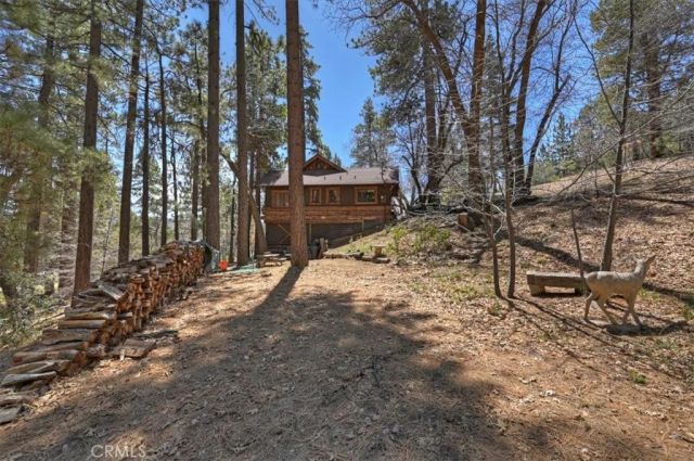 22 Polique Canyon, Fawnskin, CA 92333