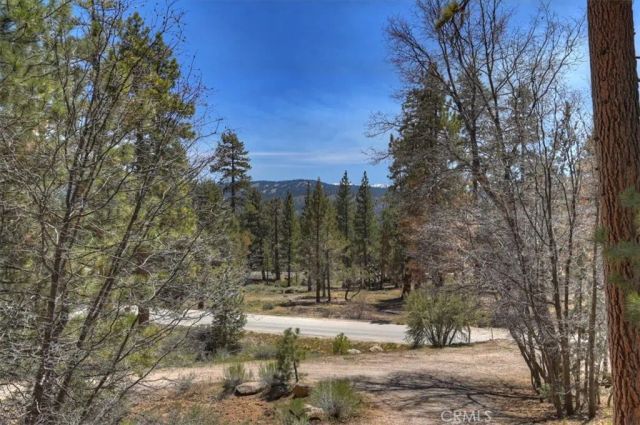 22 Polique Canyon, Fawnskin, CA 92333