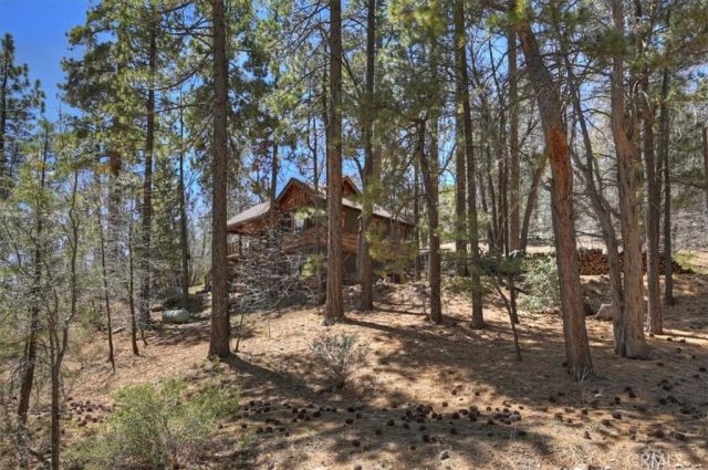 22 Polique Canyon, Fawnskin, CA 92333