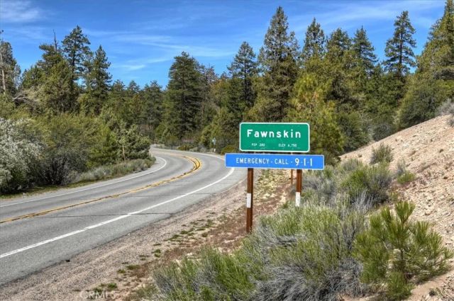 22 Polique Canyon, Fawnskin, CA 92333