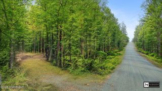 14637 E Susitna Landing Road, Willow, AK 99688