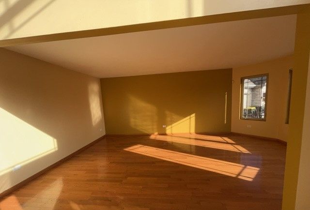 19920 Erika Court, Lynwood, IL 60411