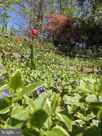 7580 WOODSTOWN DR, Springfield, VA 22153