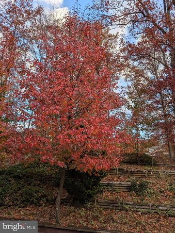 7580 WOODSTOWN DR, Springfield, VA 22153