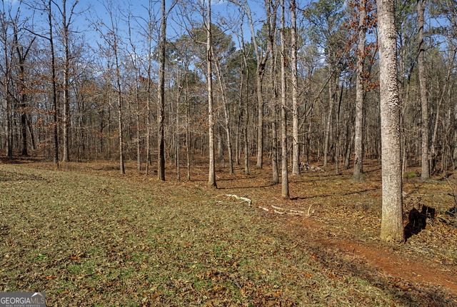 878 Gary Summers Road, Senoia, GA 30276