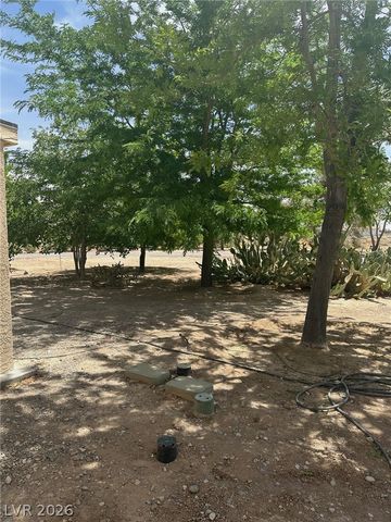 1461 East Elderberry Street, Pahrump, NV 89048