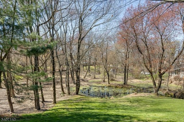 971 Nepawin Ln, Scotch Plains Twp., NJ 07076