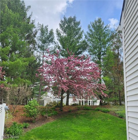 985 Goldenrod Trail, Aurora, OH 44202
