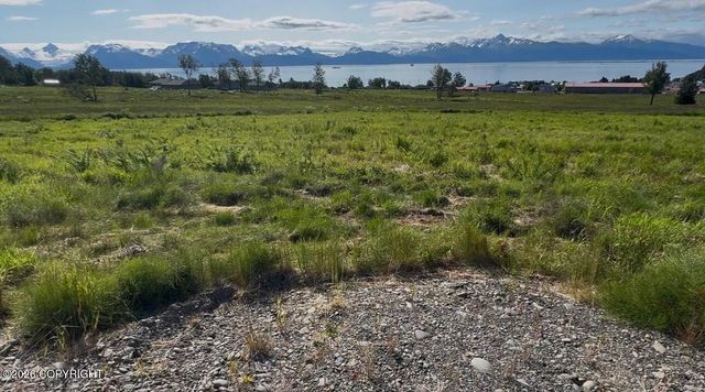 41494 Wandering Street, Homer, AK 99603