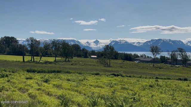 41494 Wandering Street, Homer, AK 99603