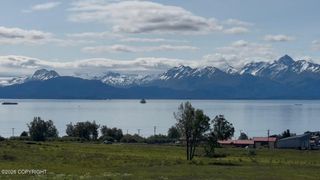 41494 Wandering Street, Homer, AK 99603