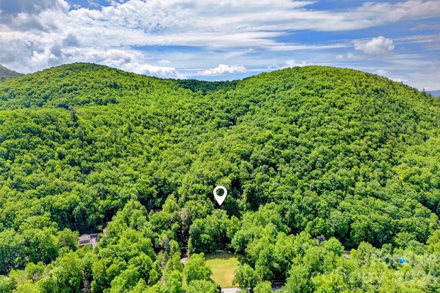 238 Texas Spur Road, Montreat, NC 28757