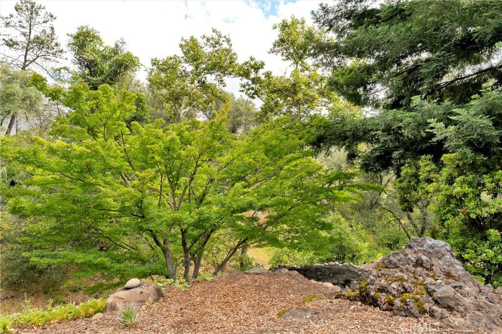 Image 41 of property listing at 13411 Bean Flat, Chico, CA 95928