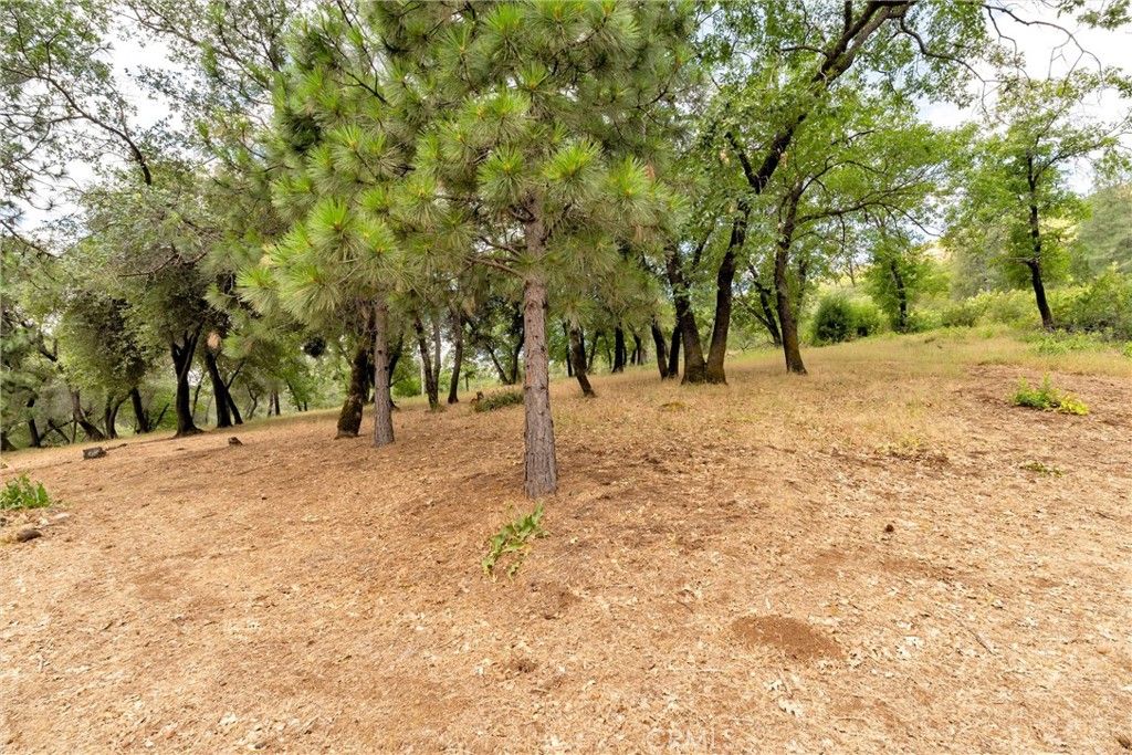 Image 63 of property listing at 13411 Bean Flat, Chico, CA 95928