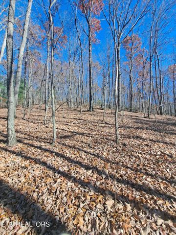 Evelyn Pvt Drive, Huntsville, TN 37756