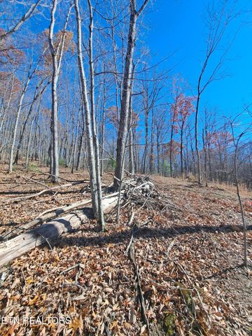 Evelyn Pvt Drive, Huntsville, TN 37756