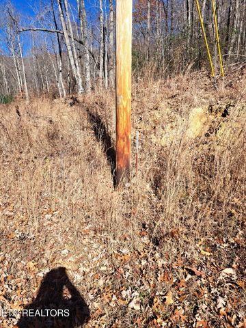 Evelyn Pvt Drive, Huntsville, TN 37756