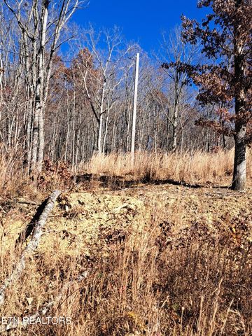 Evelyn Pvt Drive, Huntsville, TN 37756