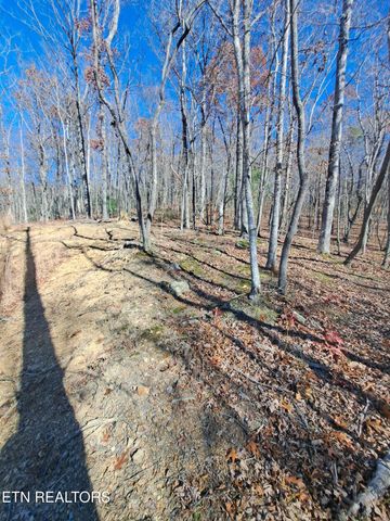 Evelyn Pvt Drive, Huntsville, TN 37756