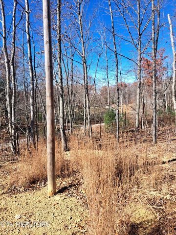 Evelyn Pvt Drive, Huntsville, TN 37756