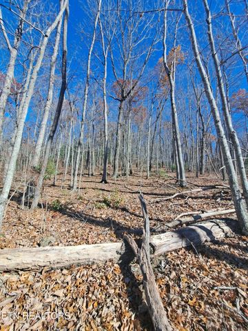 Evelyn Pvt Drive, Huntsville, TN 37756