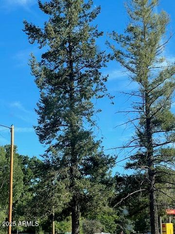 1310 S STEPHENS Drive, Pinetop, AZ 85935