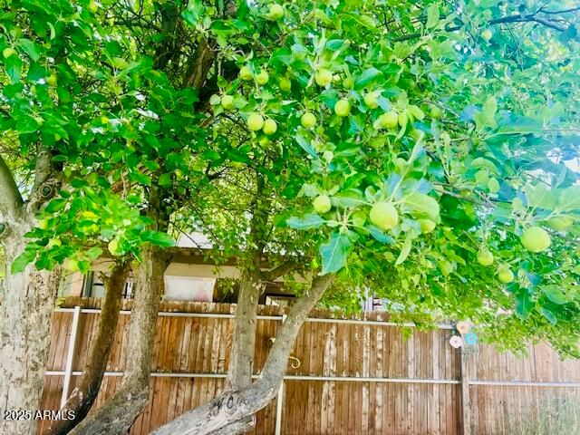 1310 S STEPHENS Drive, Pinetop, AZ 85935