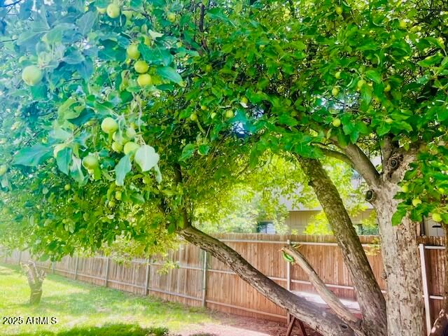 1310 S STEPHENS Drive, Pinetop, AZ 85935