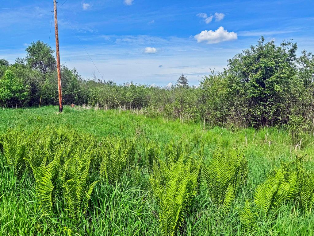 0000 Paradise Trail NW, Isanti, MN 55040 — photo 5