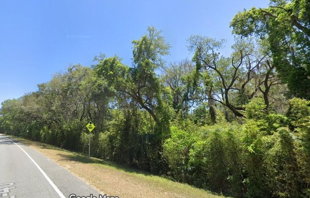SE 17TH LANE, Ocklawaha, FL 32179