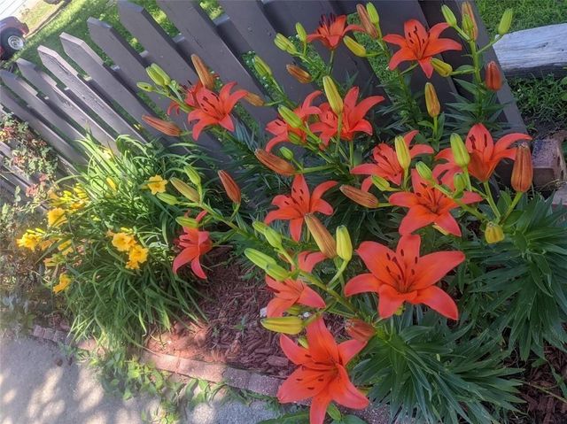 612 W Cherry Street, Nevada, MO 64772