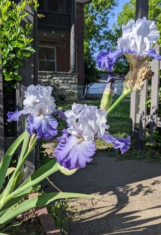 612 W Cherry Street, Nevada, MO 64772