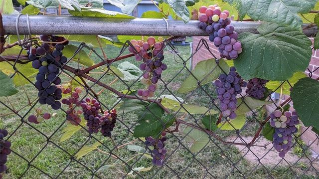 612 W Cherry Street, Nevada, MO 64772