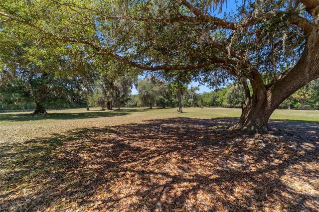 20005 NW 135TH AVENUE, Micanopy, FL 32667
