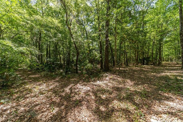 20005 NW 135TH AVENUE, Micanopy, FL 32667