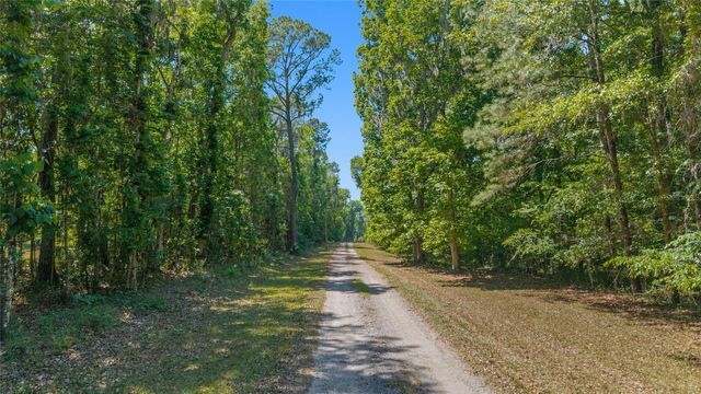 20005 NW 135TH AVENUE, Micanopy, FL 32667